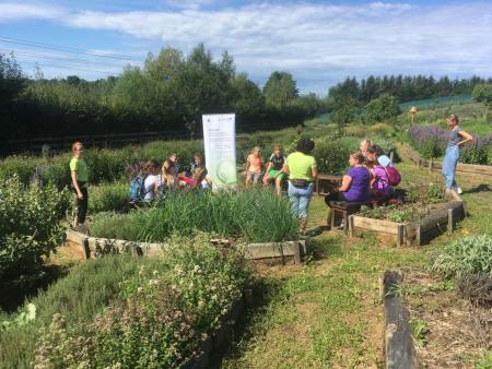 Tabor “Ethos Land” v Peterlougu 12